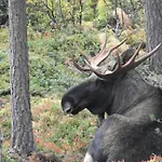 Signegarden - Midt I Fjellheimen - Tett Pa Fjord-norge Lägenhet