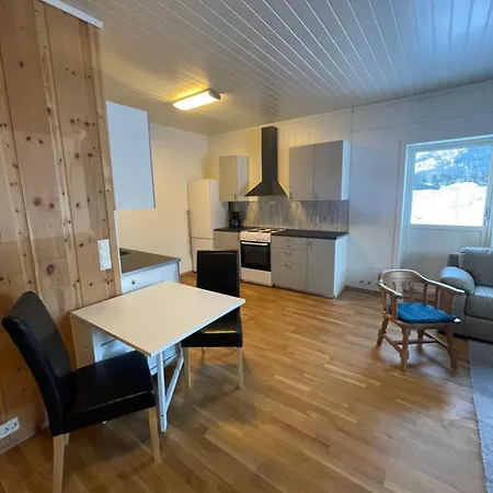Signegarden - Midt I Fjellheimen - Tett Pa Fjord-norge Apartment Skjak